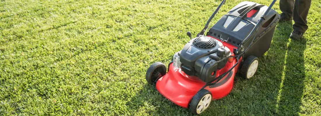 Landscaping Services