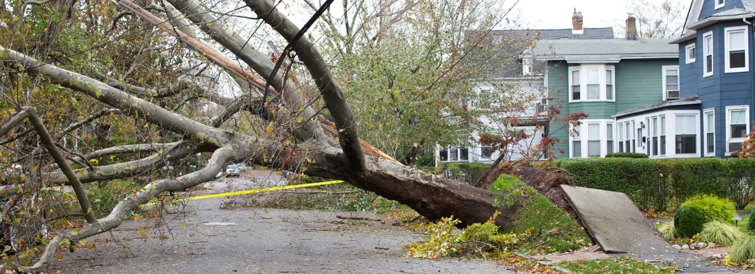 Storm Repair Services