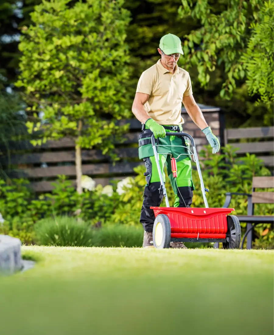 landscaping